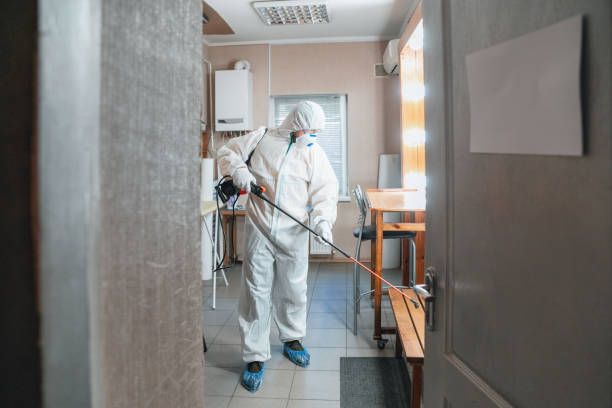 Alamance, NC Mold Removal Company